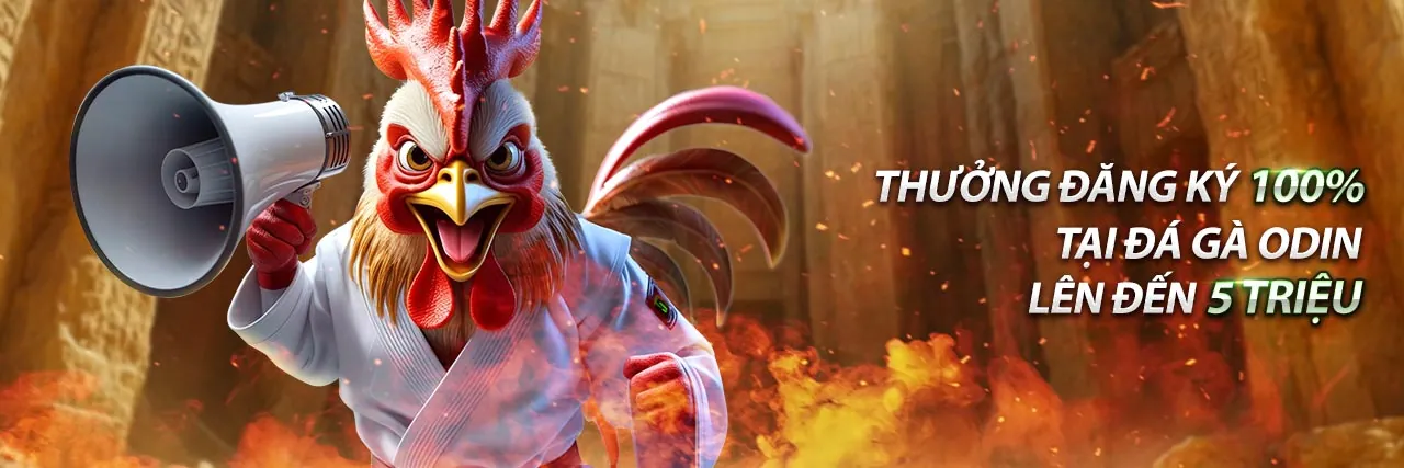 Đá Gà Trực Tuyến AE888 - Sân Chơi Cá Cược Đỉnh Cao